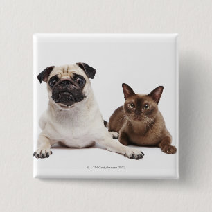 Pug and Burmese cat 15 Cm Square Badge