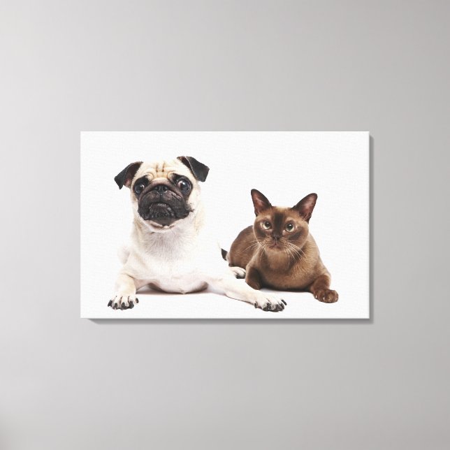 Pug and Burmese cat Canvas Print (Front)