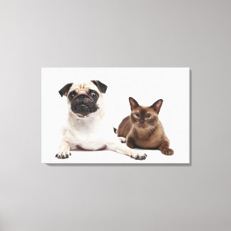 Pug and Burmese cat Canvas Print