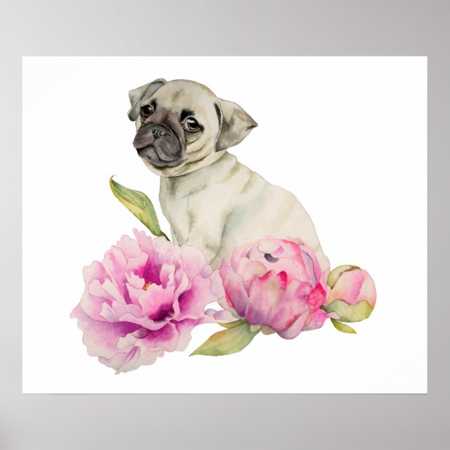 Pug and Peonies | Watercolor Illustration Poster (Front)
