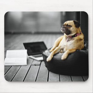 Pug at Rest Mouse Pad