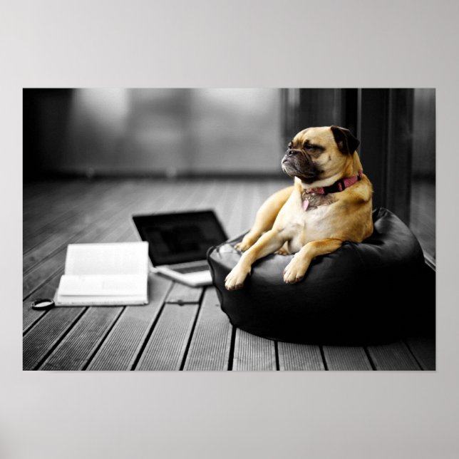 Pug at Rest Poster (Front)