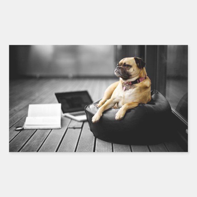Pug at Rest Rectangular Sticker (Front)