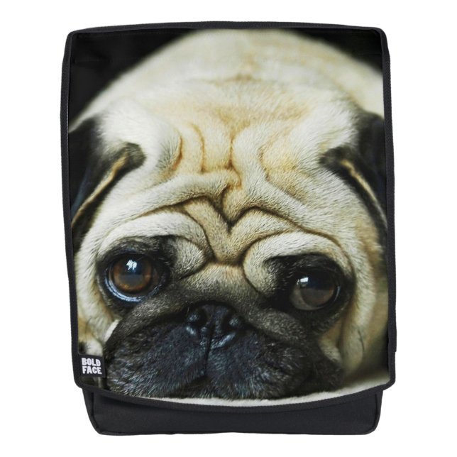 Pug Backpack (Front)