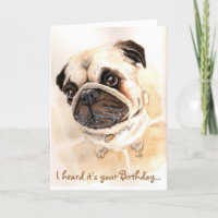 Pug Birthday Card