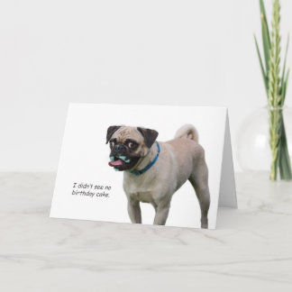 Pug Birthday Card by Focus for a Cause