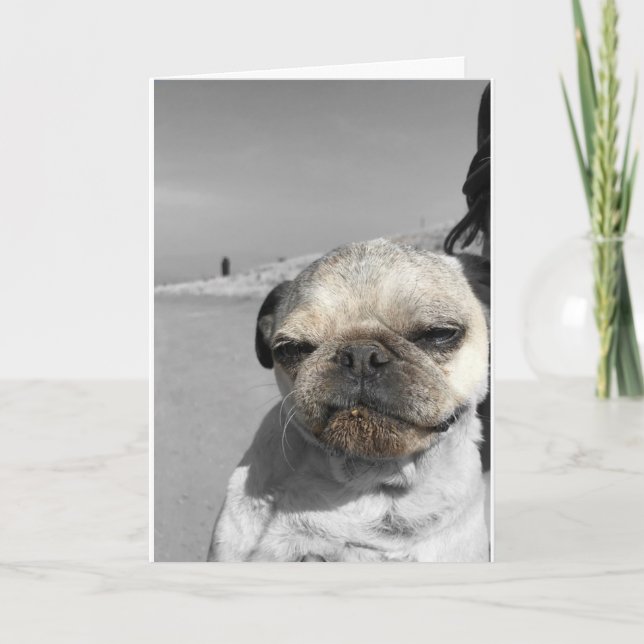 Pug birthday card Get Dirty (Front)