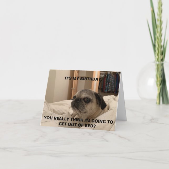 Pug Birthday Card, sarcastic card (Front)