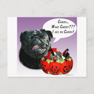 Pug (blk) Halloween Candy Postcard