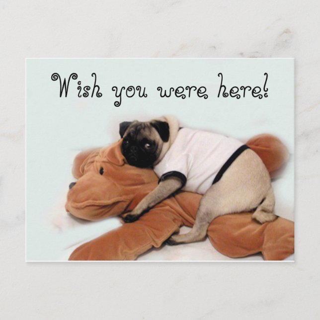 Pug Blues Postcard (Front)