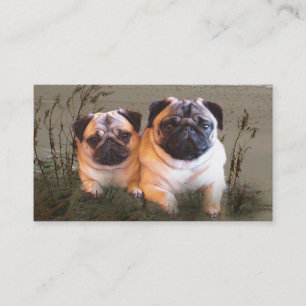 Pug Breeder Business Card