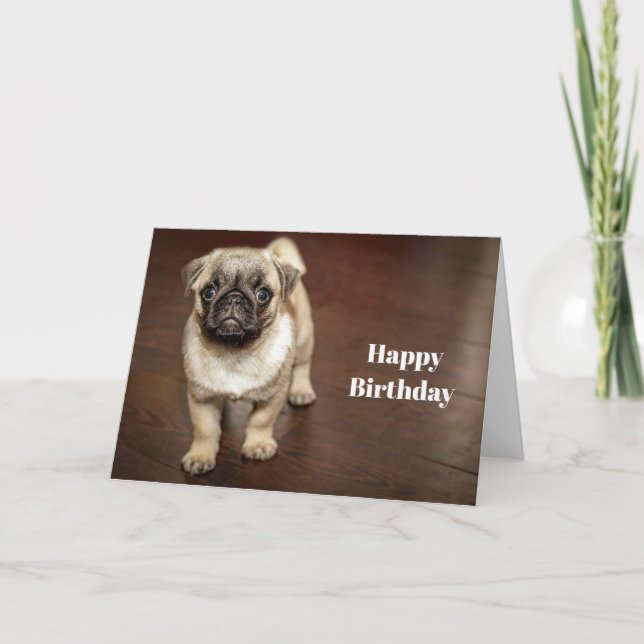Pug Brown Dog Photo Birthday Card (Front)