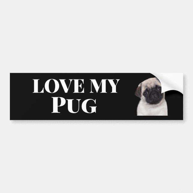 Pug bumper sticker (Front)