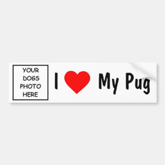 Pug Bumper Sticker