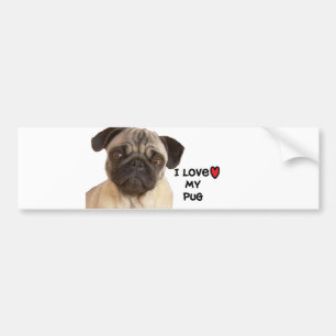 Pug Bumper Sticker" I love my Pug" Sticker