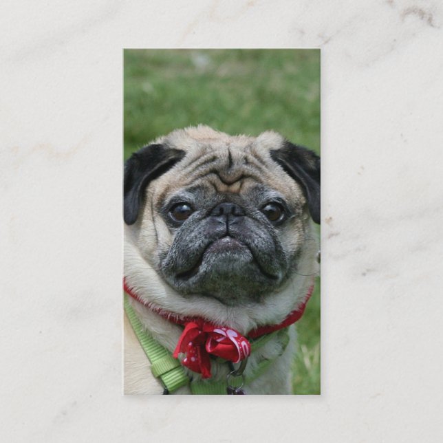 Pug business cards (Front)