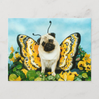 Pug Butterfly Postcard
