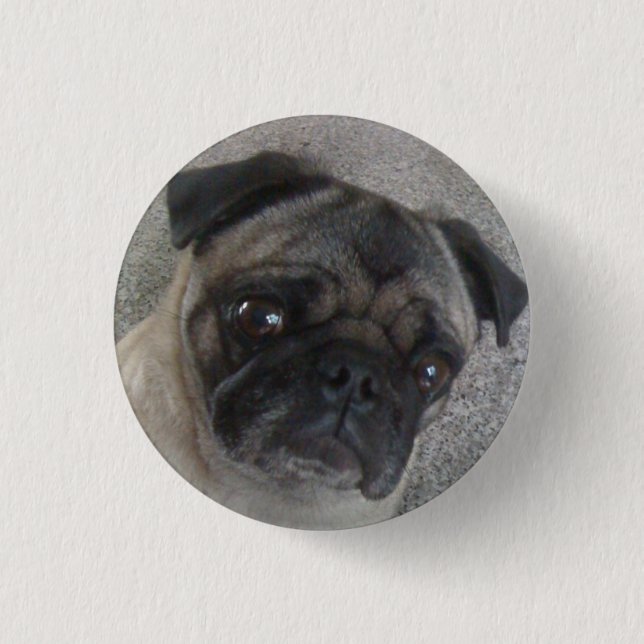 pug buttons (Front)