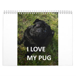 Pug Calendar