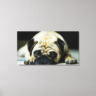 Pug Canvas Print