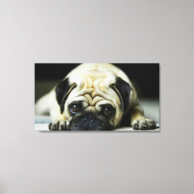 Pug Canvas Print (Front)