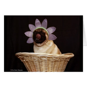 Pug Card # 2