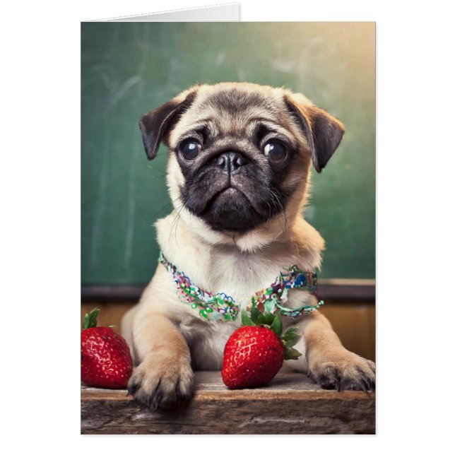 Pug cards (Front)