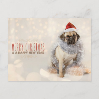Pug Christmas Card
