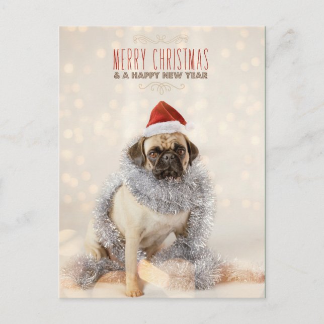Pug Christmas Card (Front)