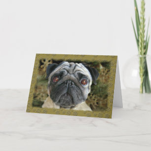 Pug Christmas card - look into her eyes...