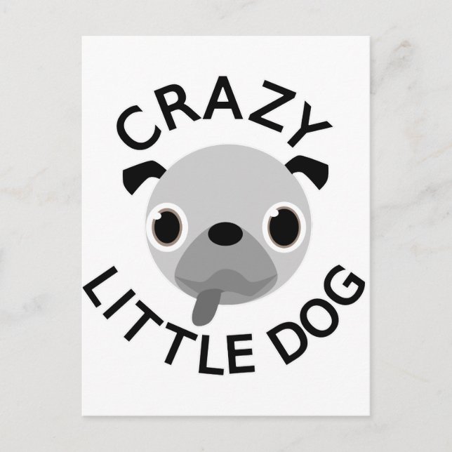 Pug Crazy Little Dog Postcard (Front)