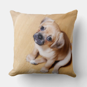 Pug Cross Cavalier King Charles Spaniel Cushion