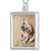 Pug Cross Cavalier King Charles Spaniel Silver Plated Necklace (Front Right)