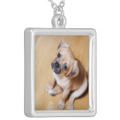 Pug Cross Cavalier King Charles Spaniel Silver Plated Necklace (Front Left)