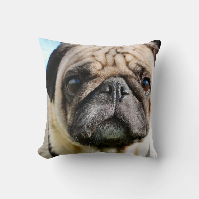 Pug   cushion (Front)