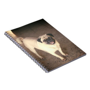 Pug design notebook (80 Pages)