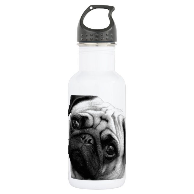 Pug Dog 532 Ml Water Bottle (Front)