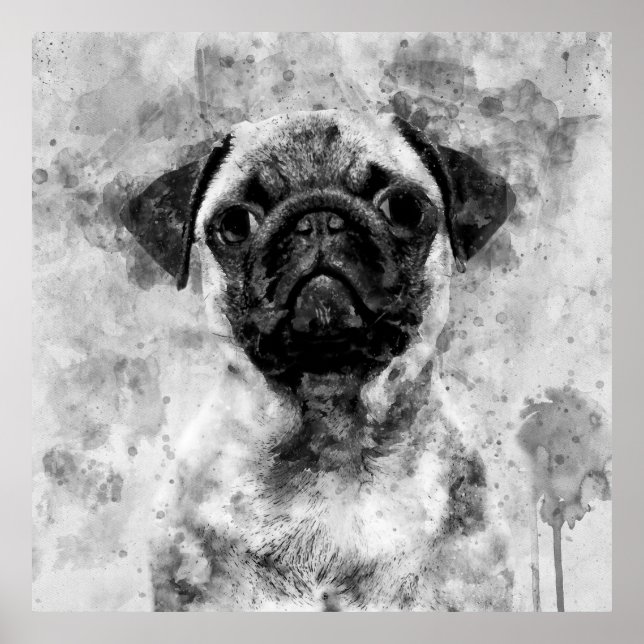 Pug Dog Black and White Watercolor 01 Poster (Front)