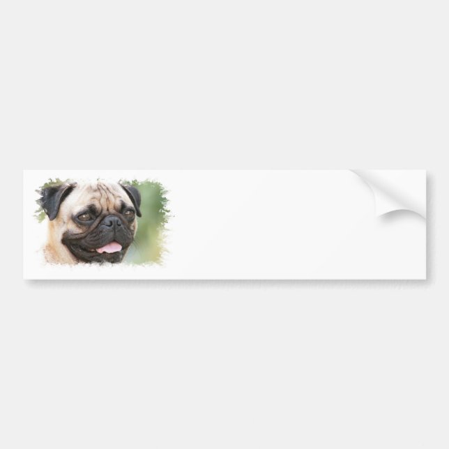 Pug Dog Bumper Sticker (Front)