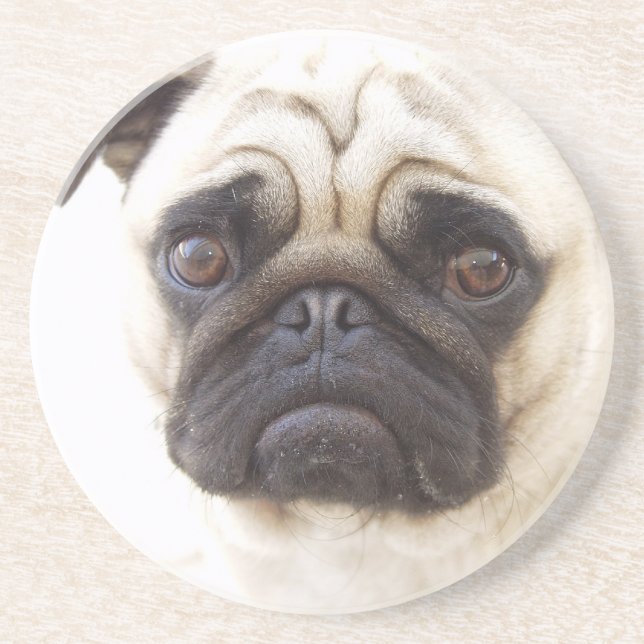Pug Dog Coasters (Front)