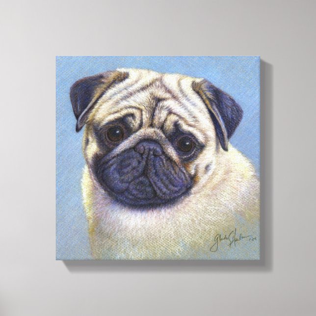 Pug Dog Drawing by Glenda S. Harlan Canvas Print (Front)