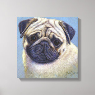 Pug Dog Drawing by Glenda S. Harlan Canvas Print
