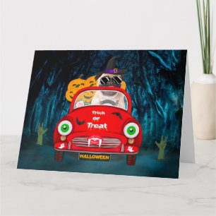 Pug Dog Driving Car Scary Halloween Card