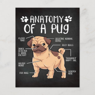  pug dog  flyer