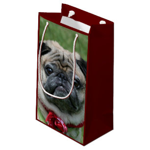 Pug dog gift bag