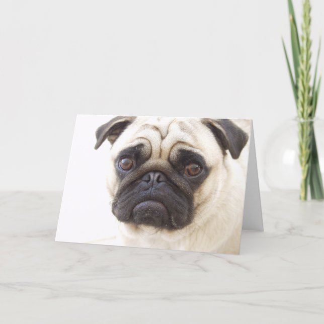 Pug Dog Greeting Card (Front)