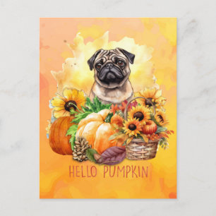 Pug Dog Hello Pumpkin Fall Autumn Thanksgiving   Holiday Postcard