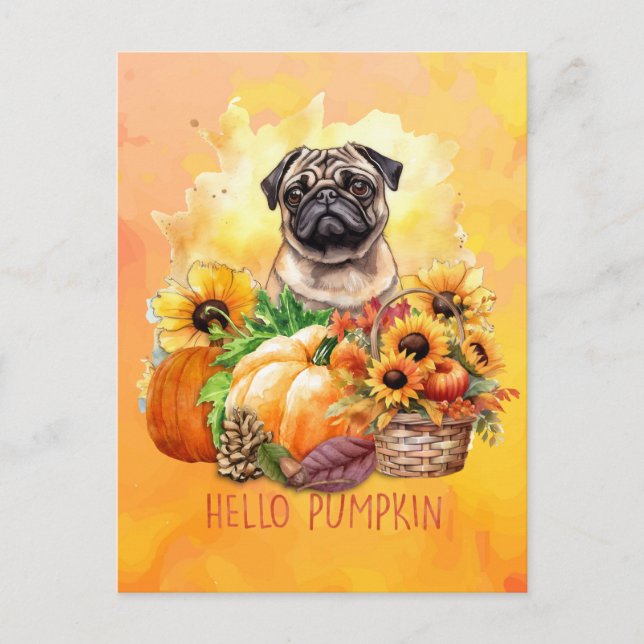 Pug Dog Hello Pumpkin Fall Autumn Thanksgiving   Holiday Postcard (Front)