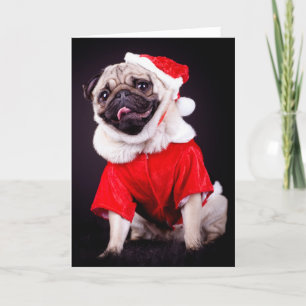 pug dog holiday card