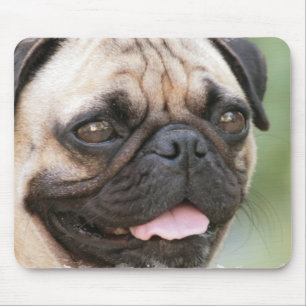 Pug Dog Mouse Pad